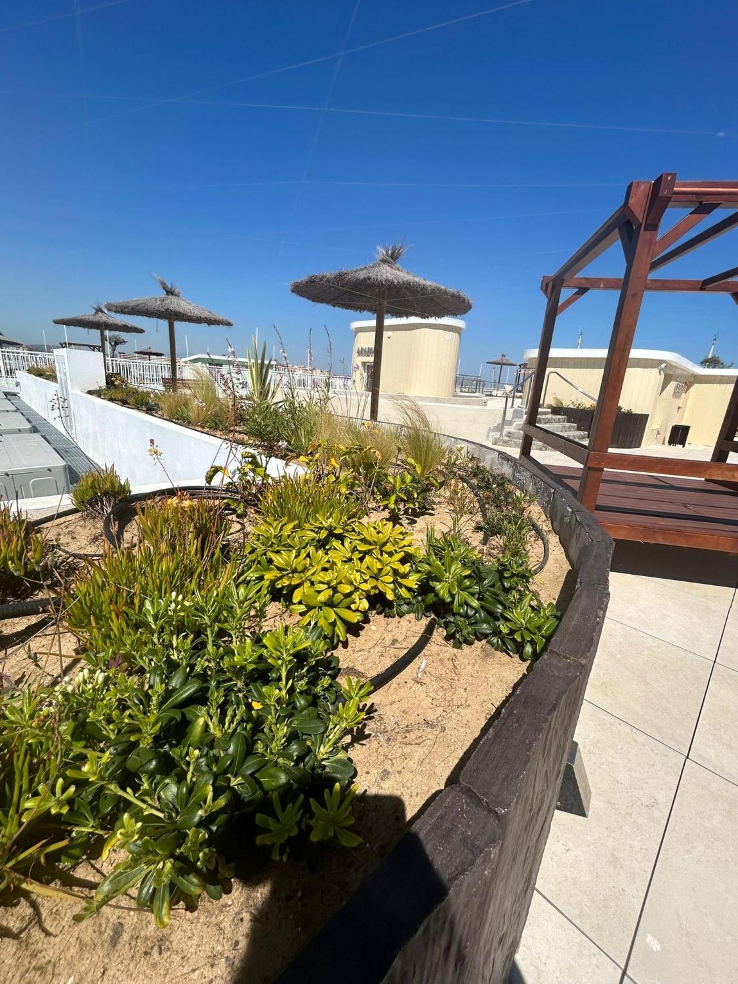 Marina Club Luxury Private Studio With Pool And Incredible Views Гибралтар Экстерьер фото